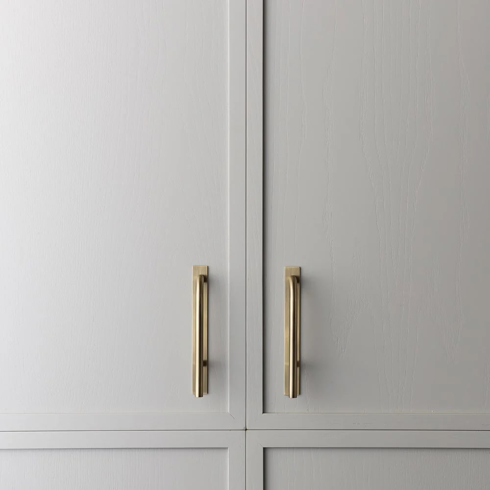 Brass Handle with Backplate