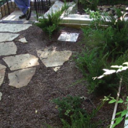 Green Roof Drain