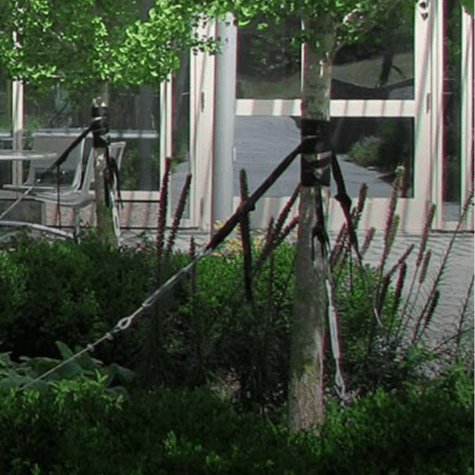 Rooftop Gardens