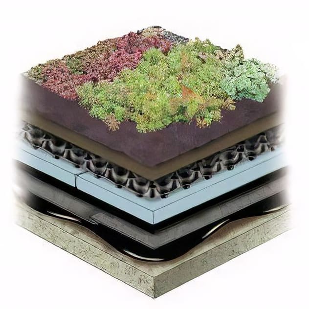 Extensive Garden Roof
