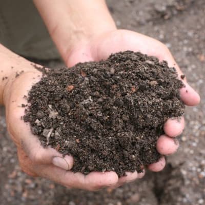 Green Roof Soil