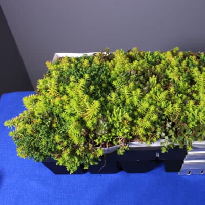 RoofBlue® RETAIN™