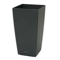 Cubico