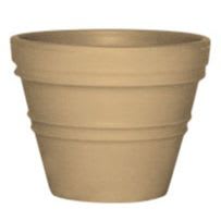Contemporary Rolled Rim