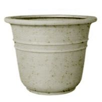 Bell