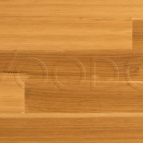 Albany Plank