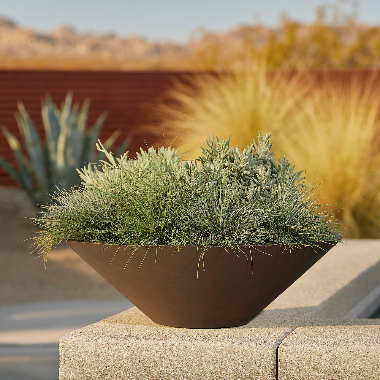 Akio Low Bowl
