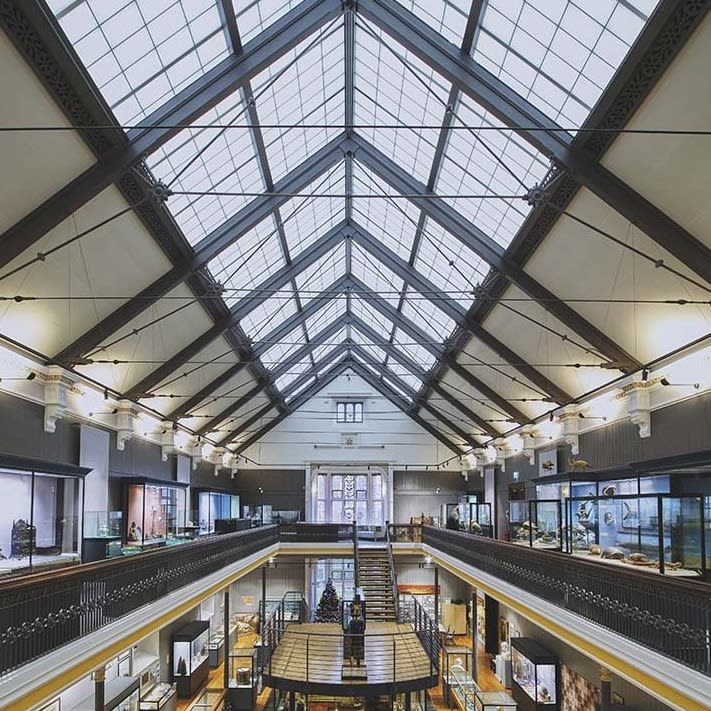 Pre-Engineered Skyroofs