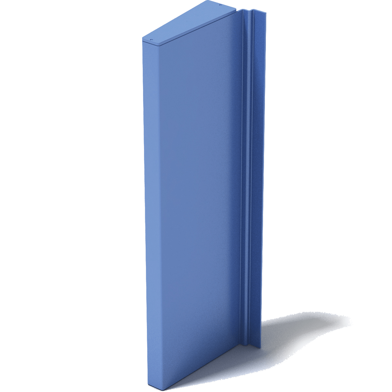 Accent Fin™