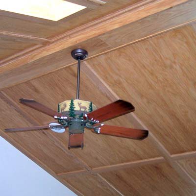Direct Ceiling 