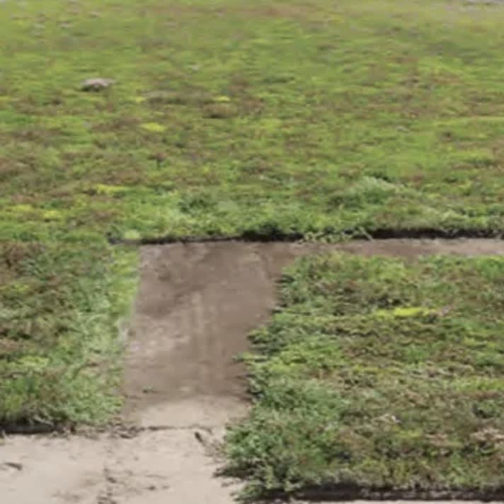 Ground Guard® VM