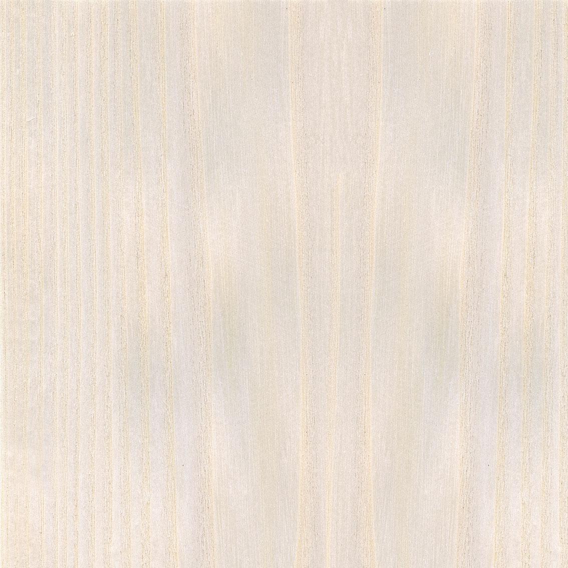 American Elm Rubra