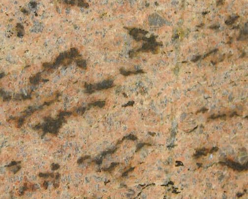 African Brown