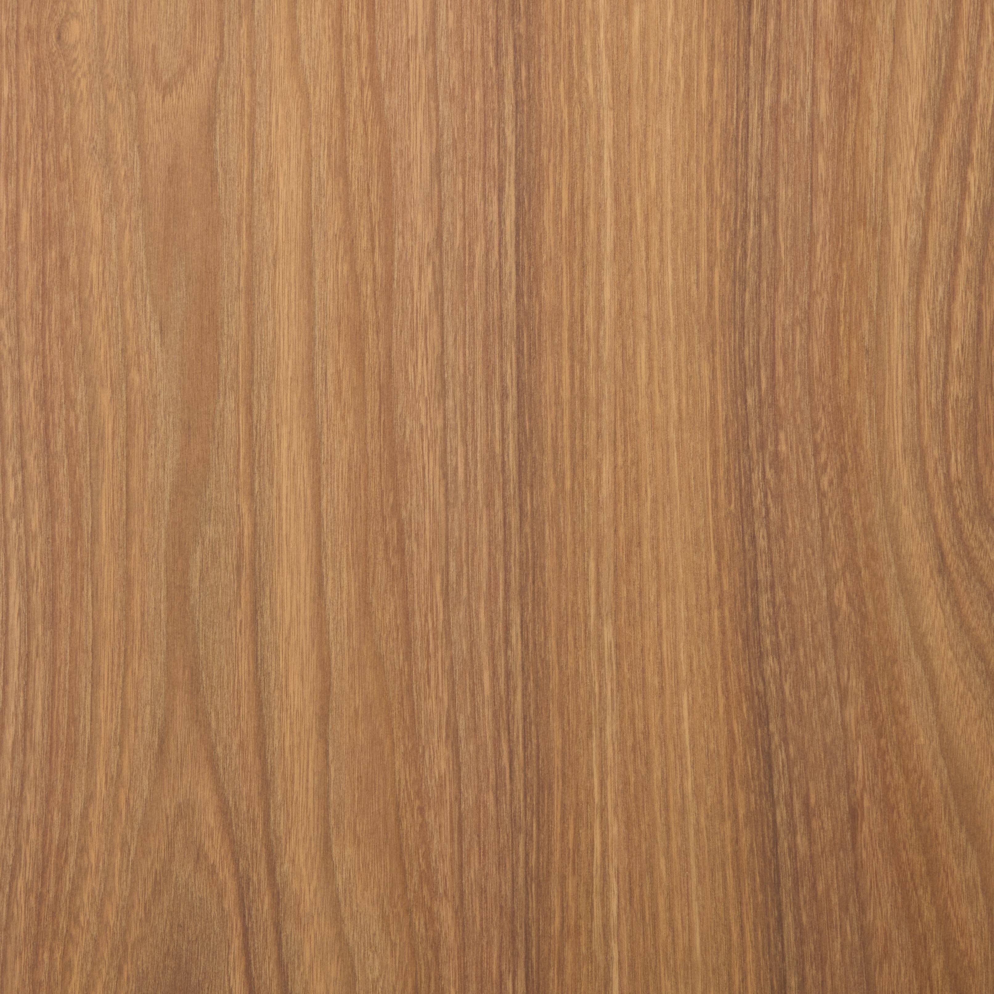 American Elm