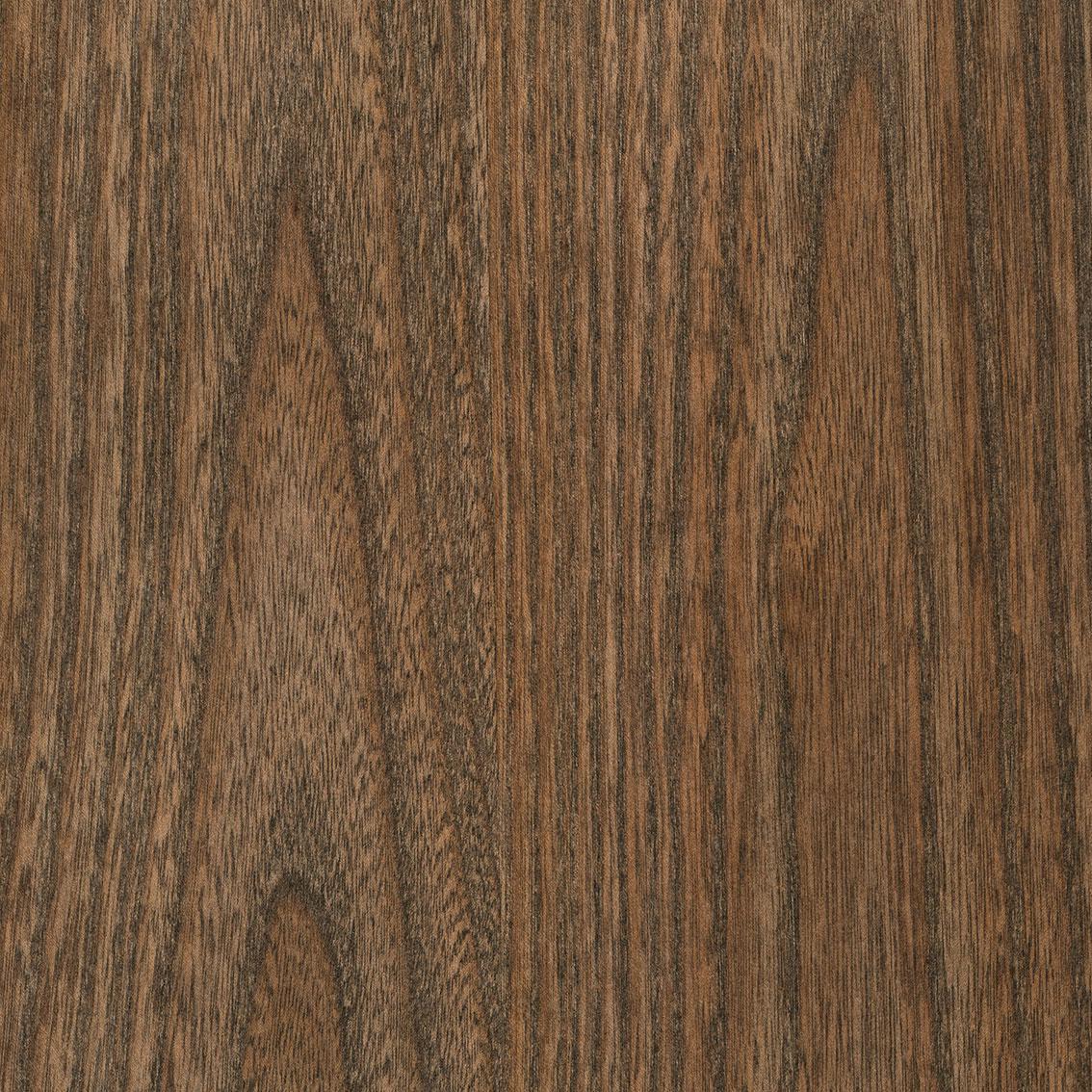American Elm T326