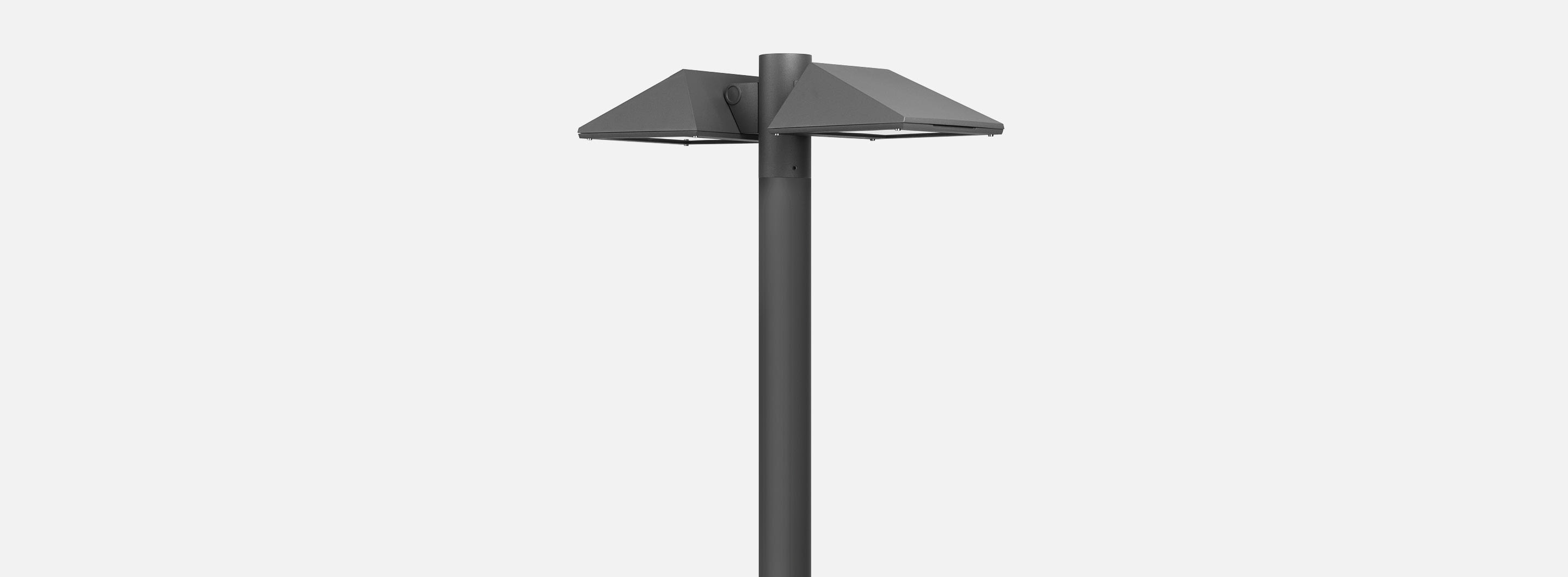 Adjustable luminaire with pole