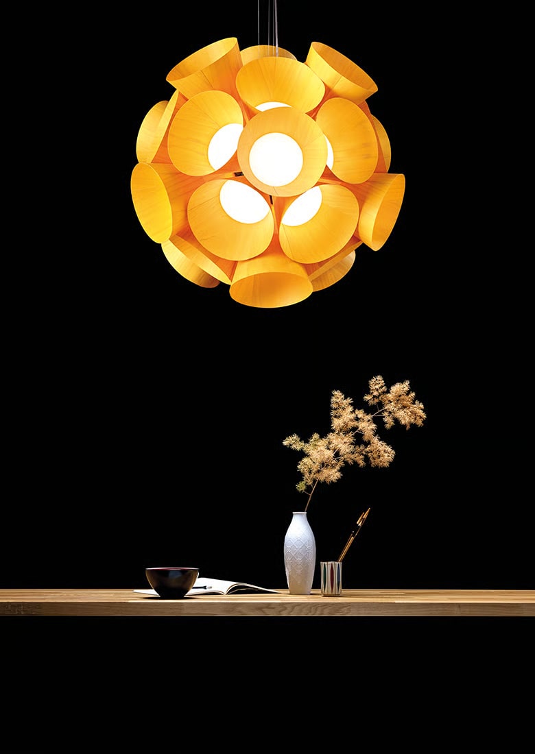 Dandelion Suspension