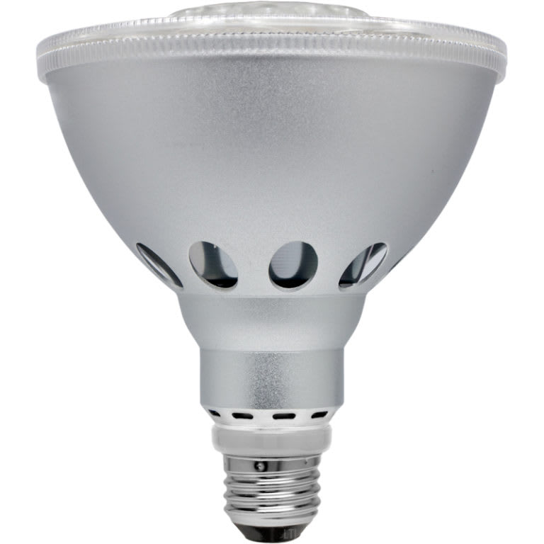10-Watt LED PARFECTION PAR38 Spot Dim