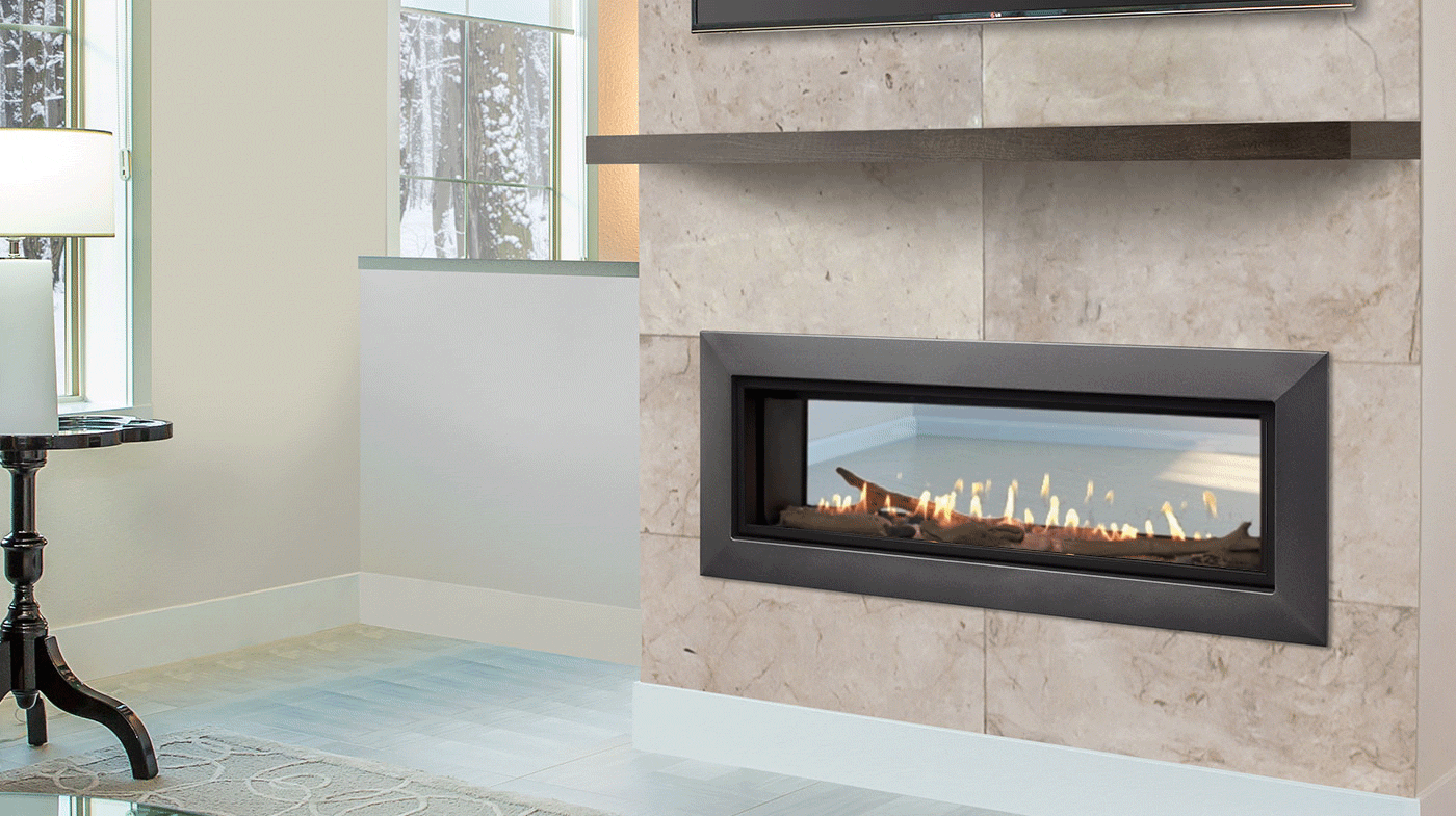 Echelon II See Through Direct Vent Gas Fireplace