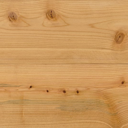 Silky Cedar