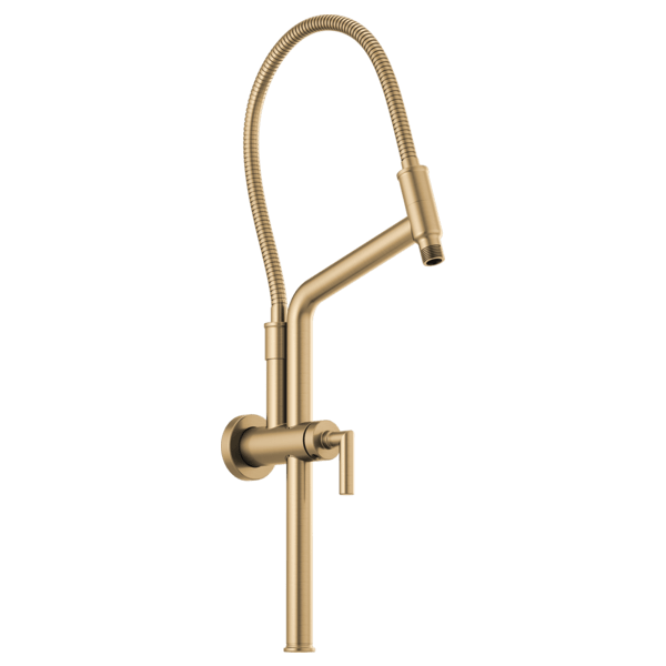 10 7/16" Linear Round Slide Bar Shower Arm And Flange (81892-GL)