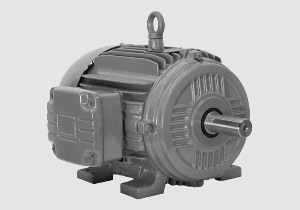 Cooling Tower Duty Motor