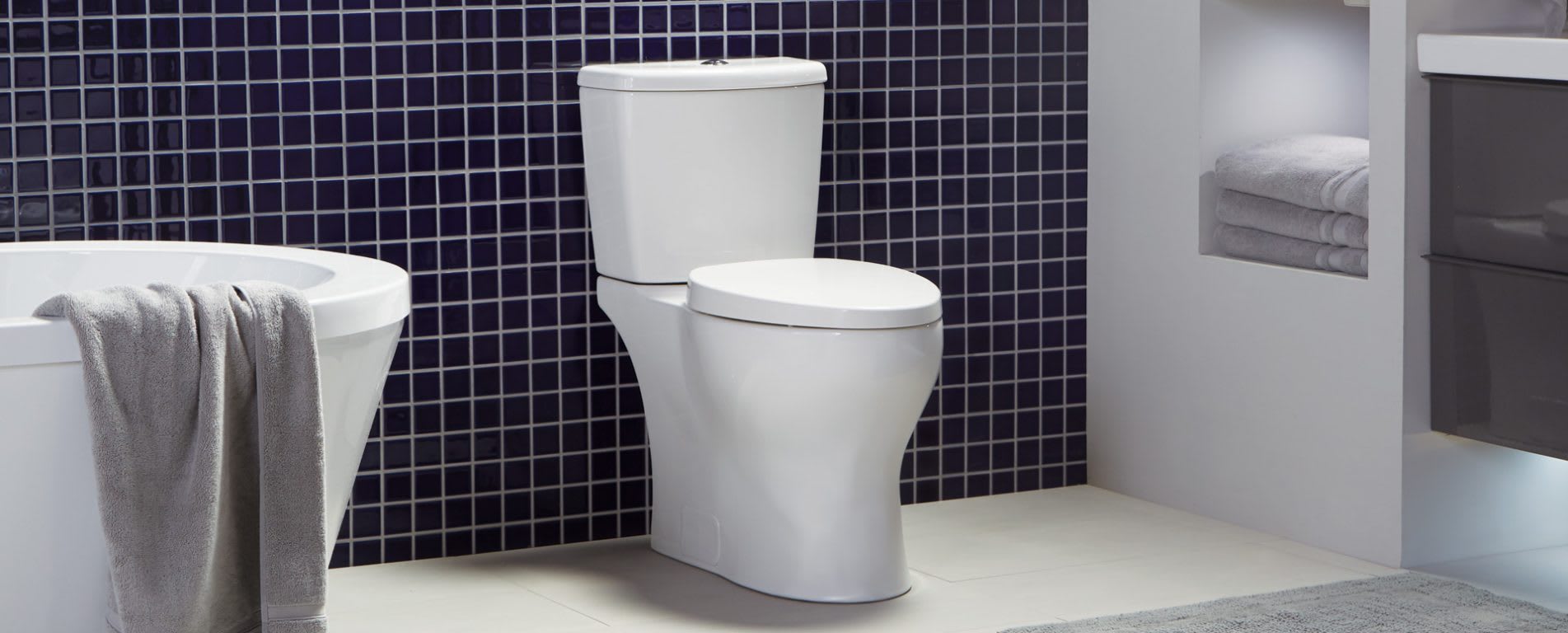 Phantom 0.8 GPF Single Flush Elongated Toilet