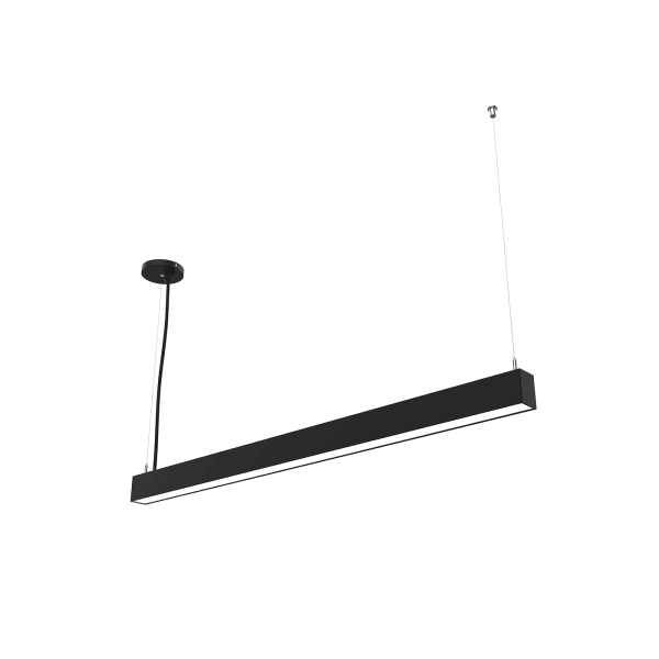 BLS2 Pendant Up/Down
