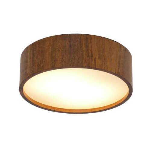 Ceiling Accord Cylindrical (REF 504)