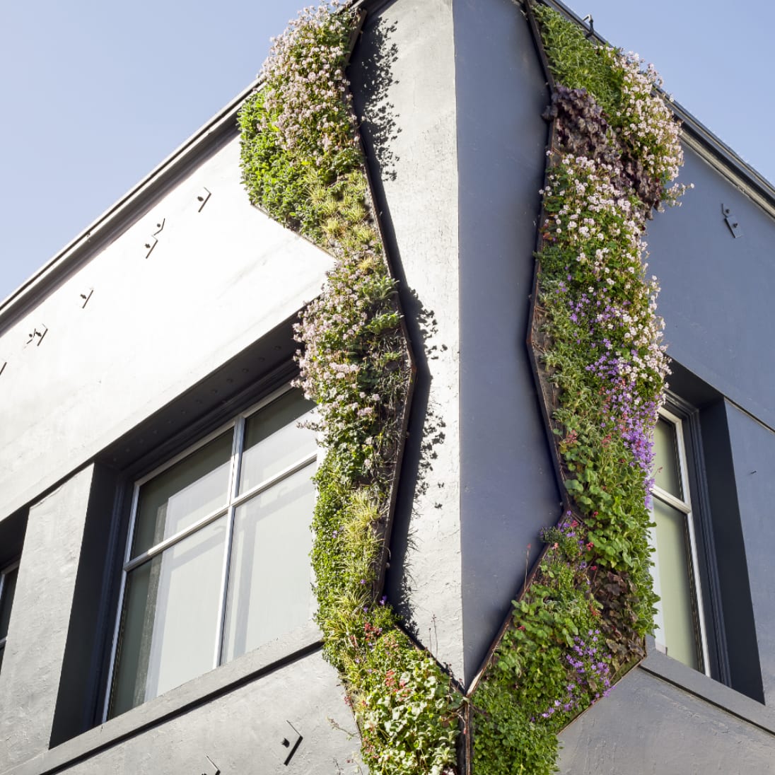 GrowTex®