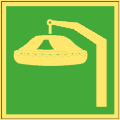 Davit Launched Life Raft