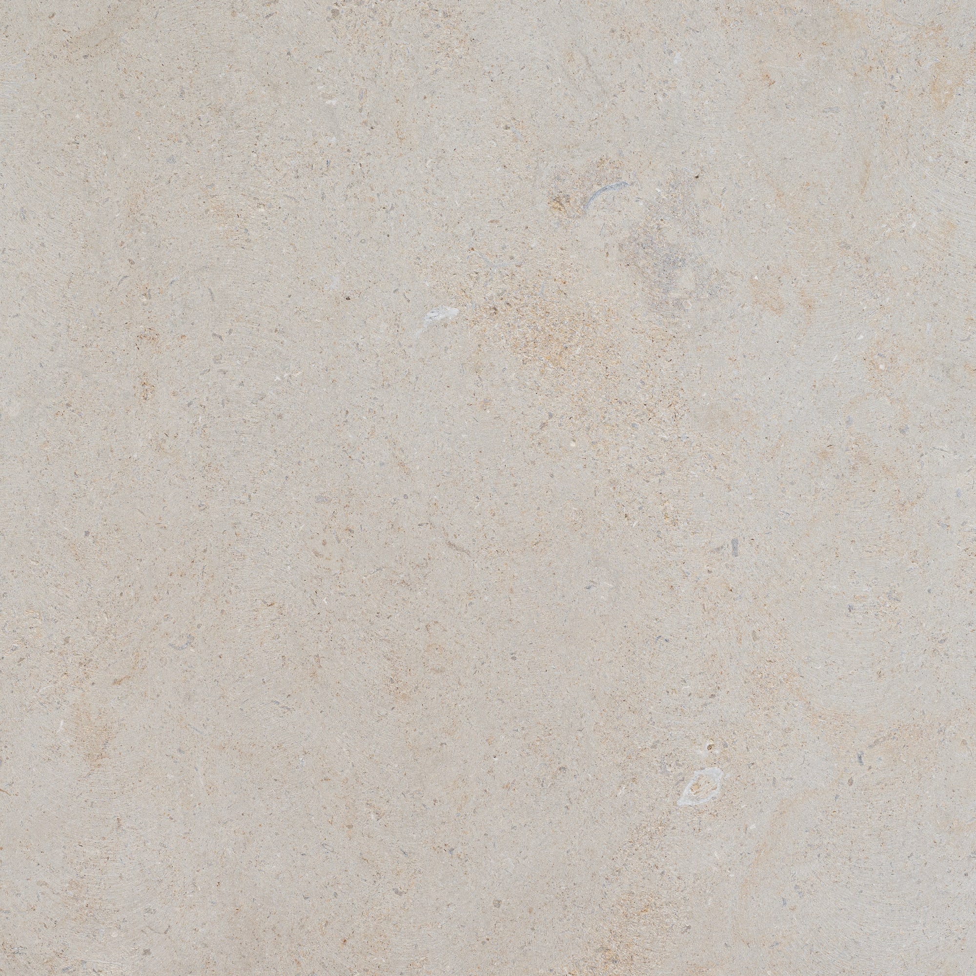 Birchwood / Cut Stone