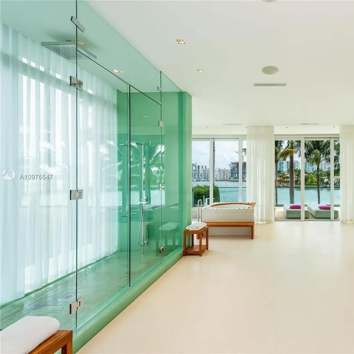 Bio-Glass®