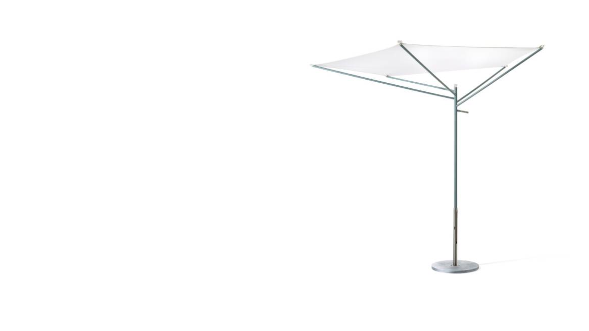 Acacia Shade