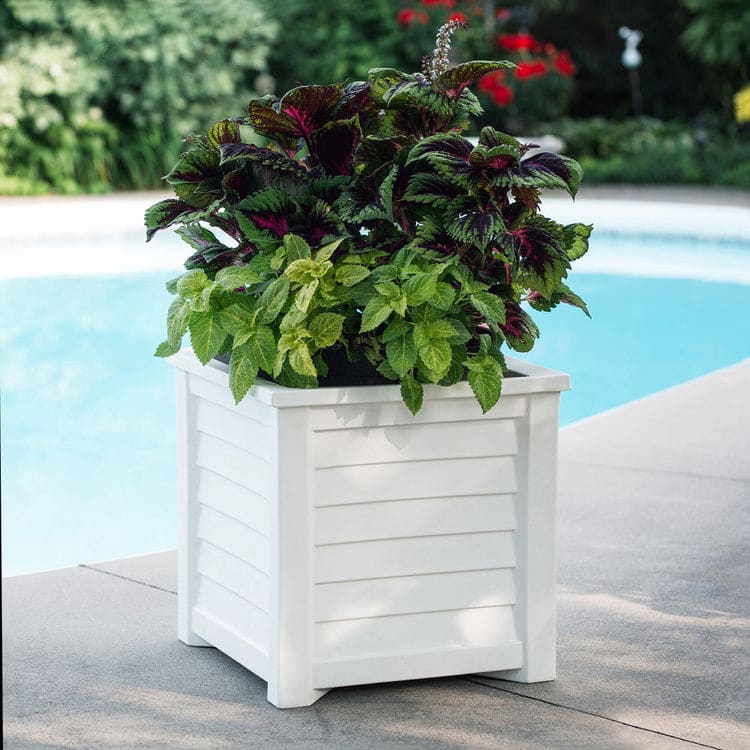 20in Square Planter