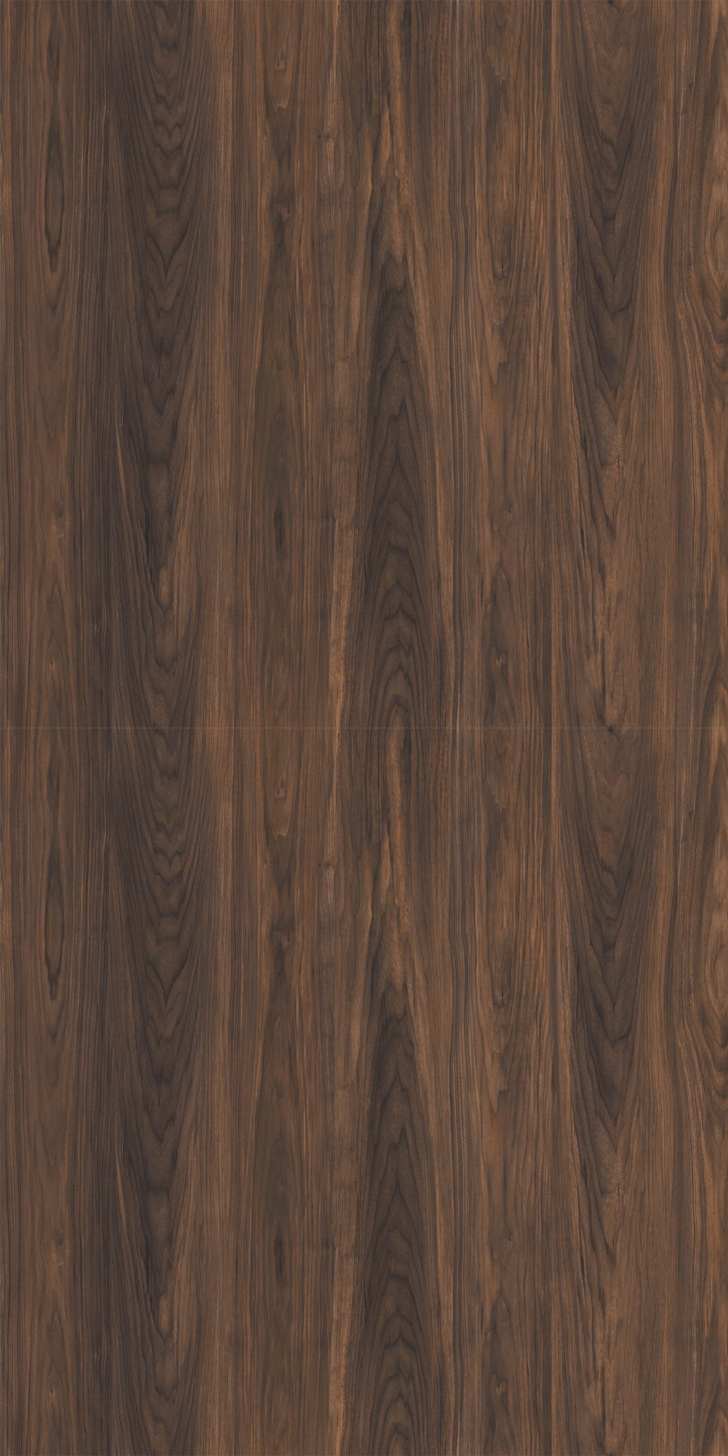 Black Walnut 3135