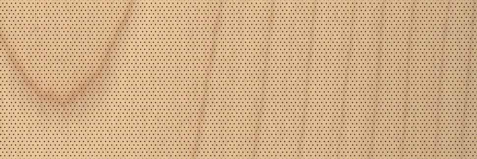 Acoustic Blond Sycamore