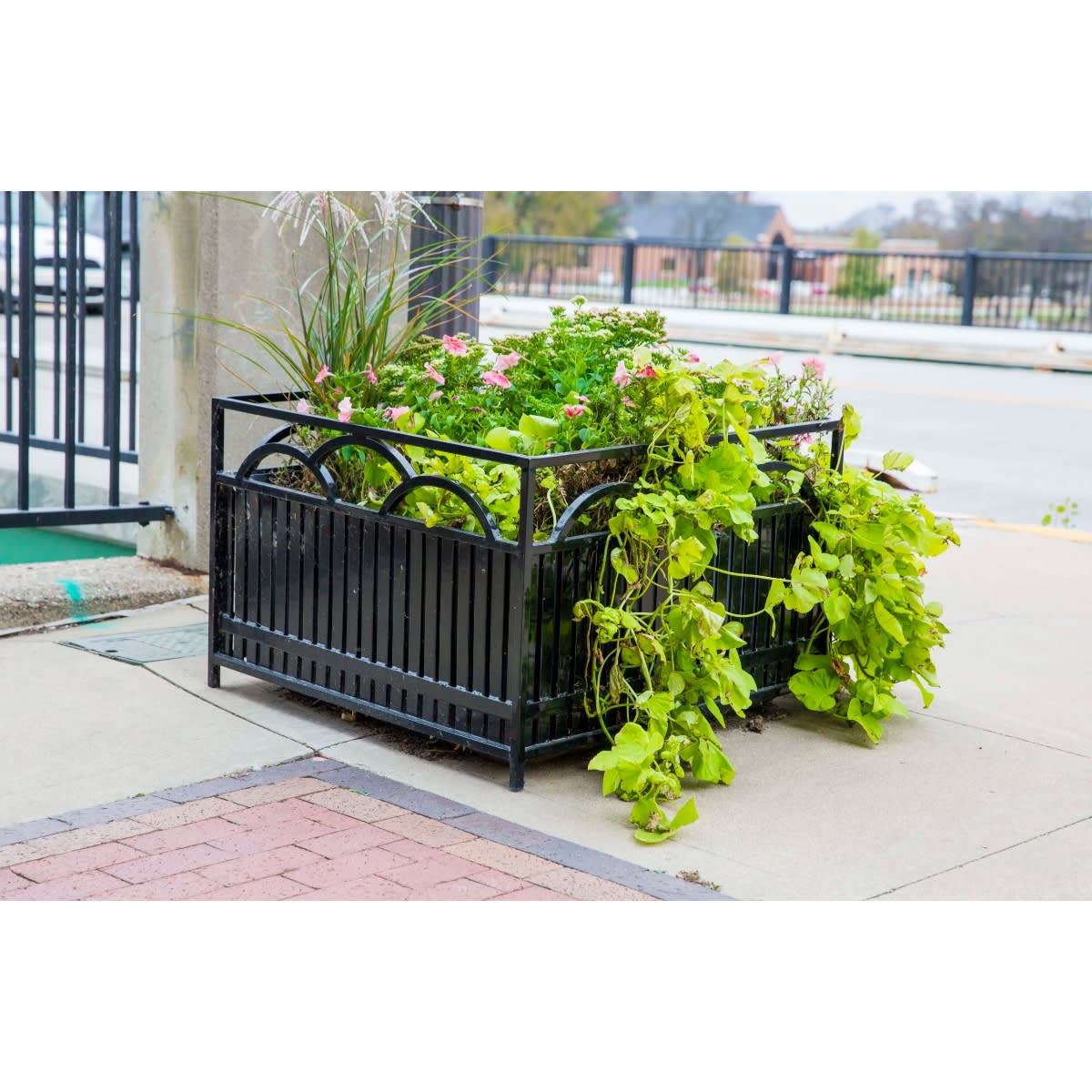 Steel Square Planter