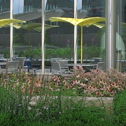 Deep Rooftop Gardens