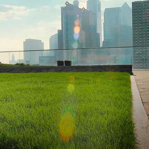 Rooftop Lawns