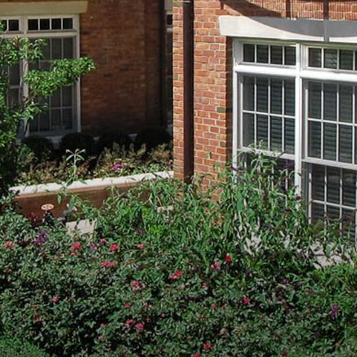 Deep Planters & containers