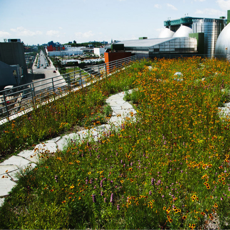 Perennial Roofs