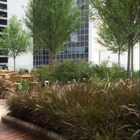 Intensive Green Roof