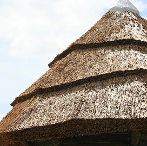 Reed Performance