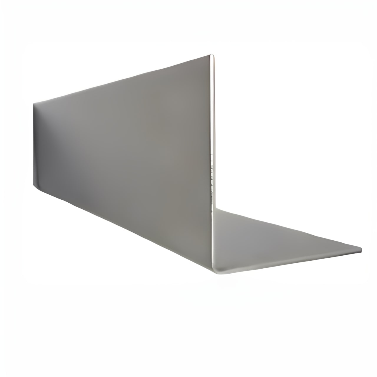 Stainless Steel Guards