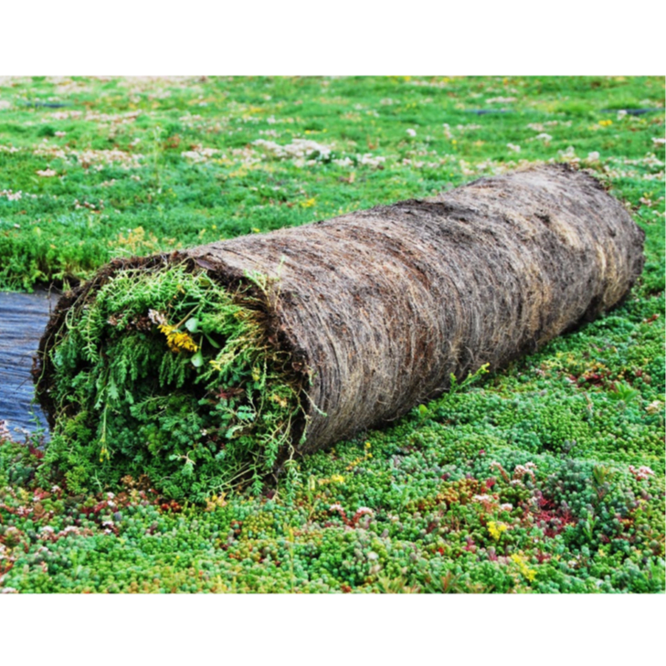 Pregrown Sedum Mats