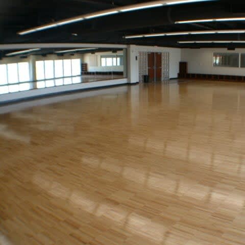 Parquet for Dance