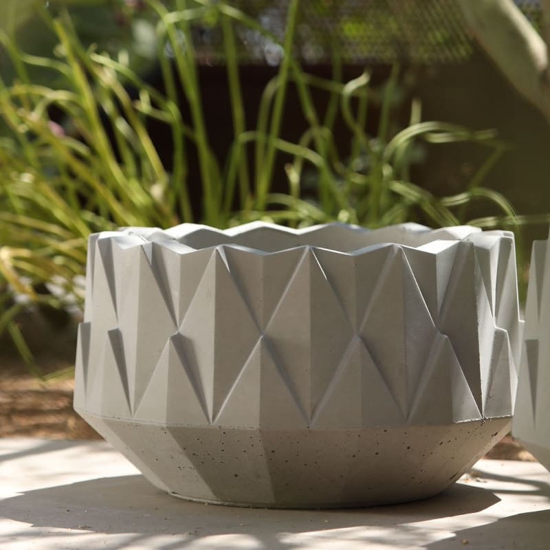 Agave Series