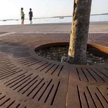 Tree Grates