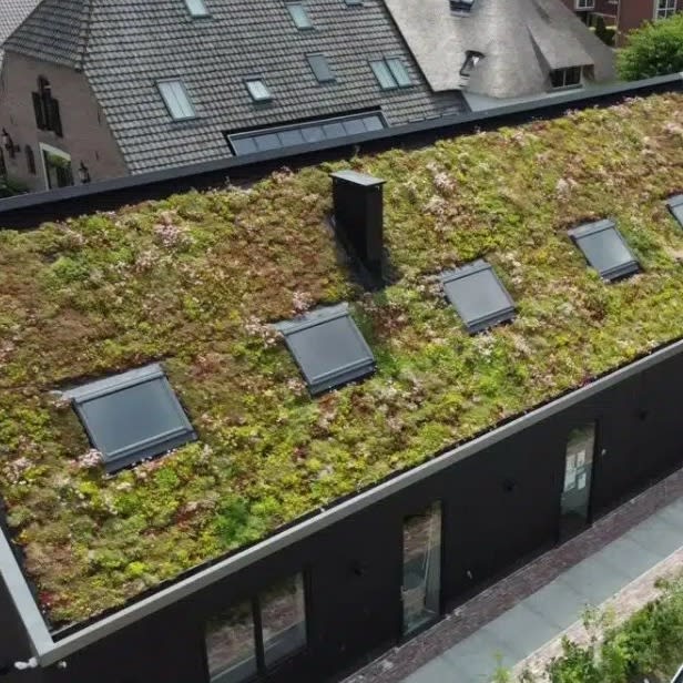 Solargreen Ballast